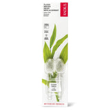 Radius The Big Brush™ Replacement Head (2 Pack) - Vita-Shoppe.com