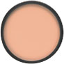 Paramedical Kamaflage - The Ultimate Concealer Makeup - Vita-Shoppe.com