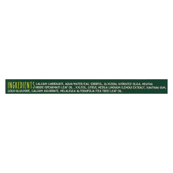 Green Beaver,the Toothpaste - Spearmint Toothpaste - Case Of 1 - 2.5 Fl Oz. - Vita-Shoppe.com