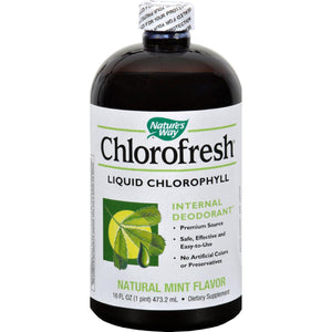 Nature's Way Chlorofresh Liquid Chlorophyll Natural Mint - 16 Fl Oz - Vita-Shoppe.com