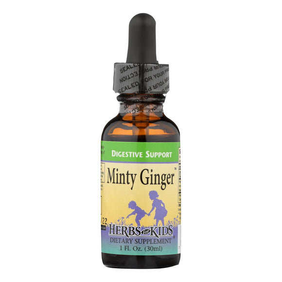 Herbs For Kids Minty Ginger - 1 Fl Oz - Vita-Shoppe.com
