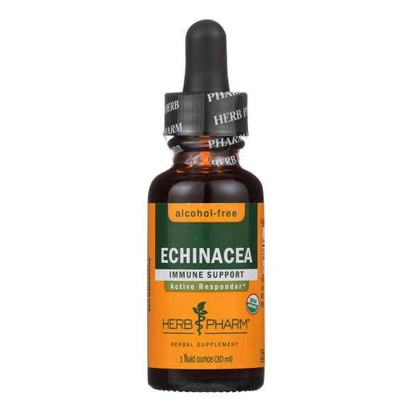 Herb Pharm - Echinacea (af)glycerite - 1 Each-1 Fz - Vita-Shoppe.com