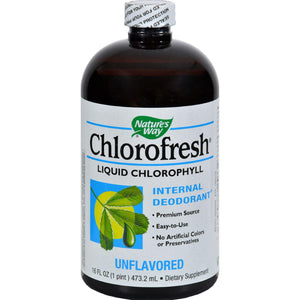 Nature's Way Chlorofresh Liquid Chlorophyll Natural - 16 Fl Oz - Vita-Shoppe.com