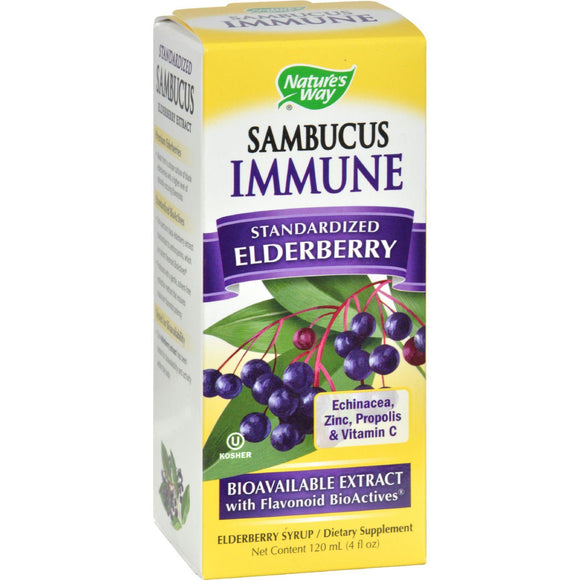 Nature's Way Sambucus Immune Syrup - 4 Fl Oz - Vita-Shoppe.com