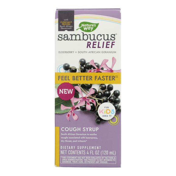 Nature's Way - Sambucus Kids Syrup - 1 Each-4 Fz - Vita-Shoppe.com